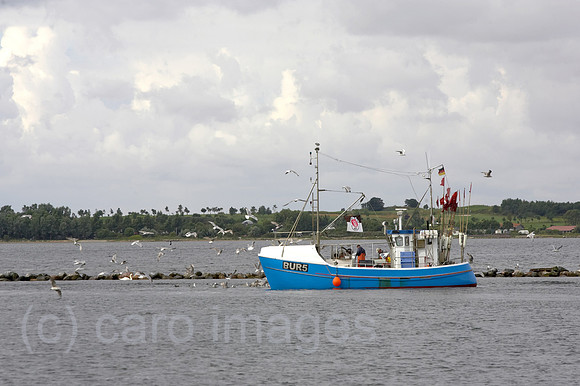 0KH050727D014CARO.JPG