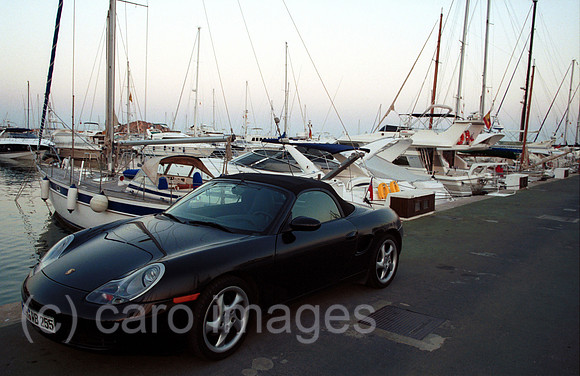 HOO4404ACARO.JPG