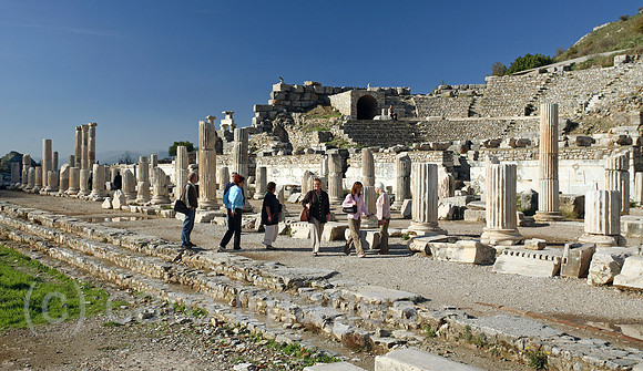 00S061114D024CARO.JPG
