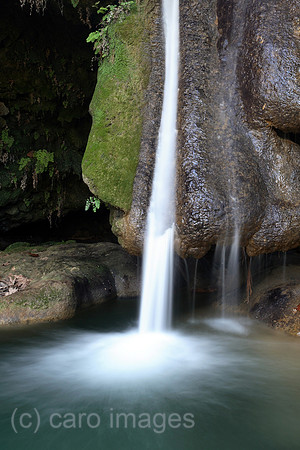00S061115D042CARO.JPG