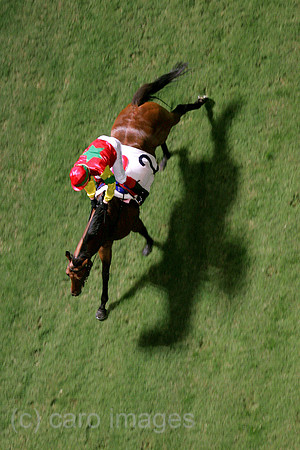 00S061206D028CAROE.JPG