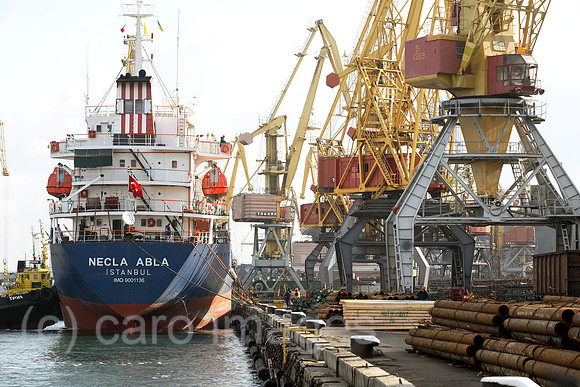 00S061111D020CAROE.JPG