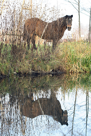 00S061128D018CAROE.JPG