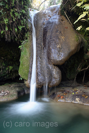 00S061115D041CARO.JPG