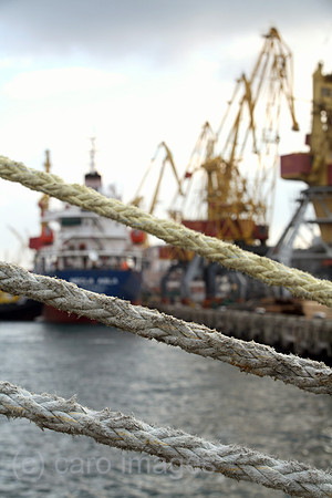 00S061111D018CAROE.JPG