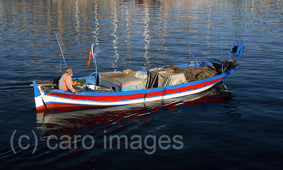 00S061115D008CARO.JPG
