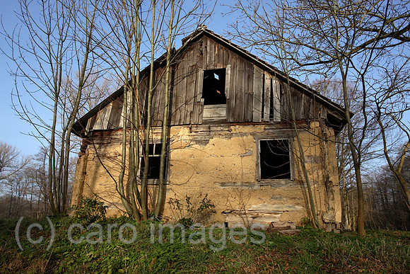 00S061128D015CARO.JPG