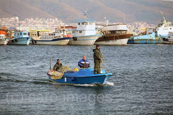 00S061112D035CAROE.JPG