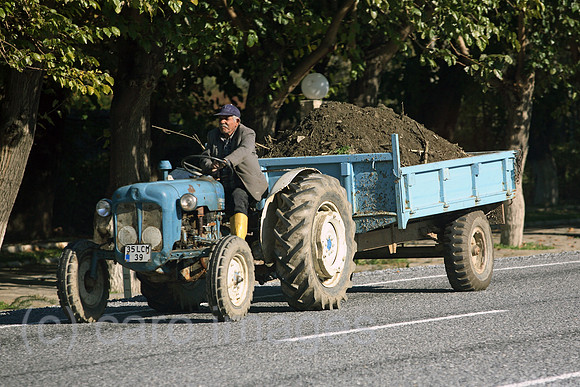 00S061114D008CAROE.JPG