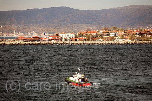 00S061112D081CARO.JPG