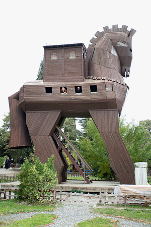00S061113D005CAROE.JPG