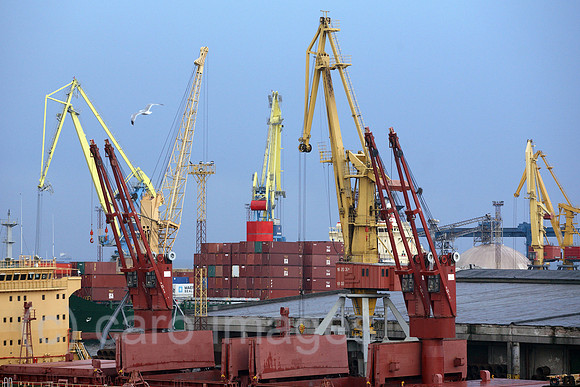 00S061110D012CAROE.JPG