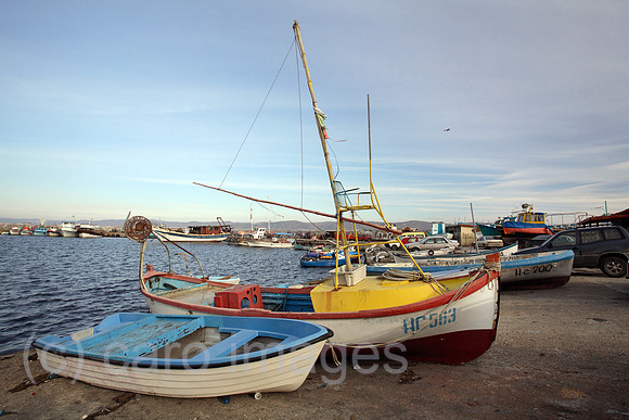 00S061112D030CARO.JPG