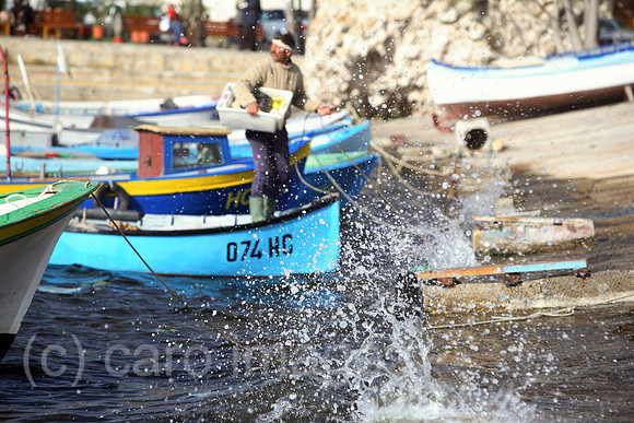 00S061112D077CAROE.JPG