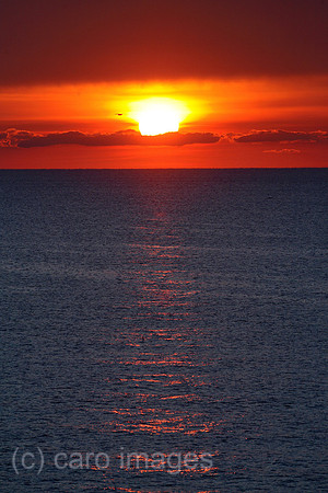 00S061112D003CAROE.JPG