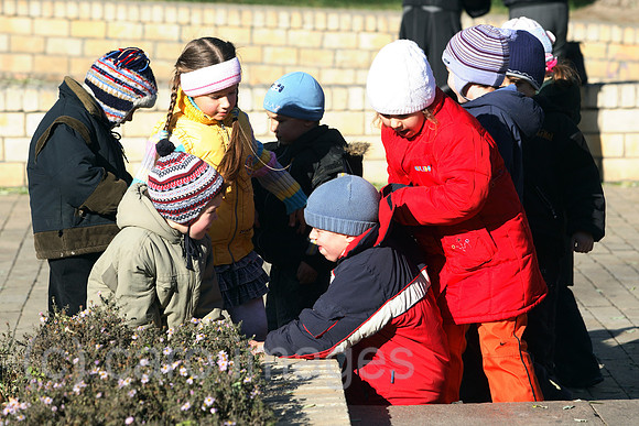 00S061110D042CAROE.JPG