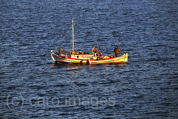 00S061117D001CARO.JPG
