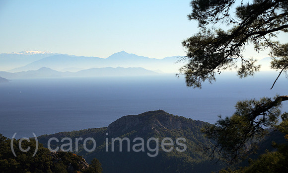 00S061115D018CAROE.JPG