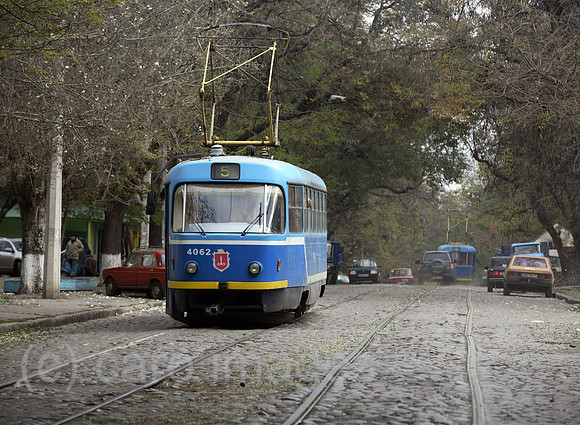 00S061111D011CAROE.JPG