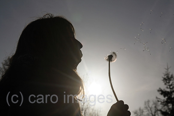 00S061127D002CARO.JPG