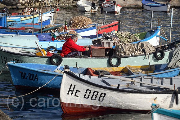 00S061112D062CAROE.JPG