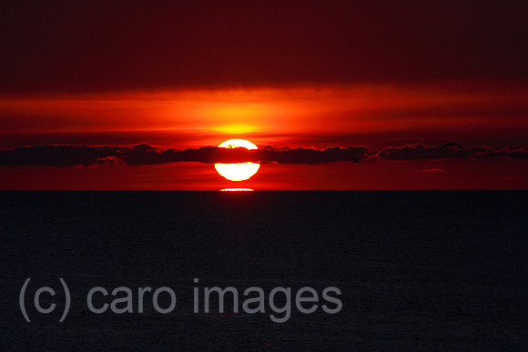 00S061112D002CAROE.JPG