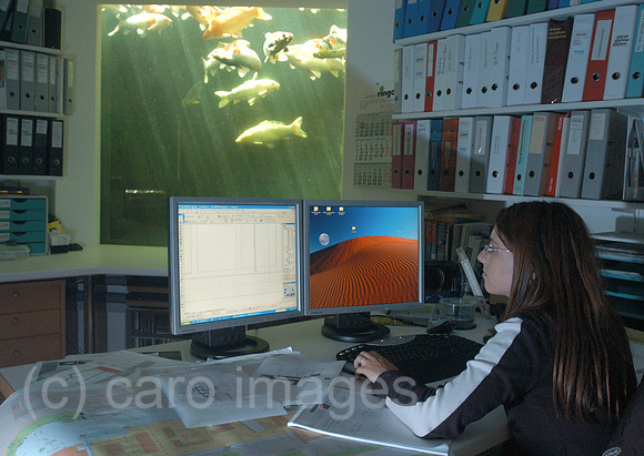 00K051016D079CAROE.JPG