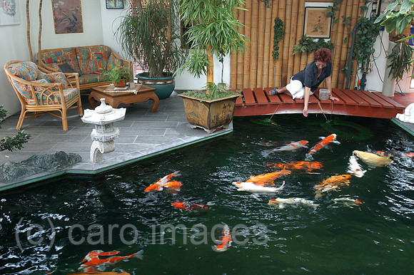 00K051016D062CARO.JPG