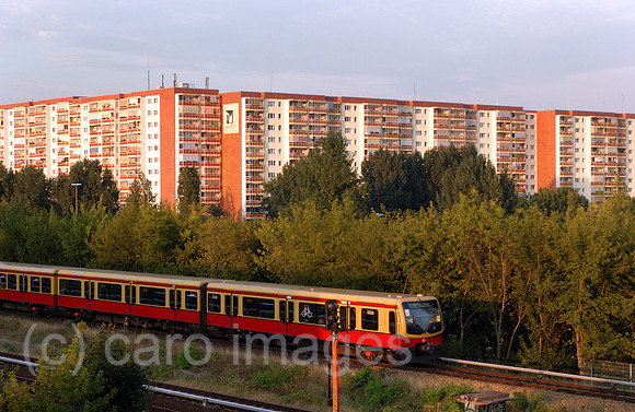 00K050901D008CARO.JPG