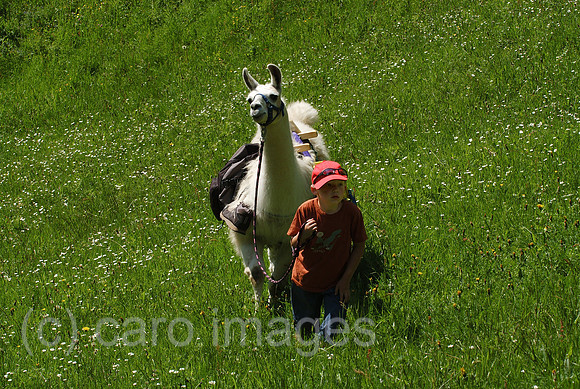 00K050601D009CARO.JPG