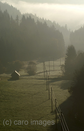 00K051016D026CAROE.JPG