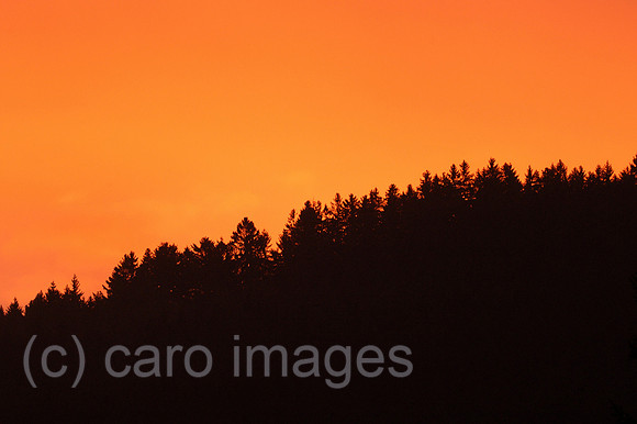 00K051020D021CAROE.JPG