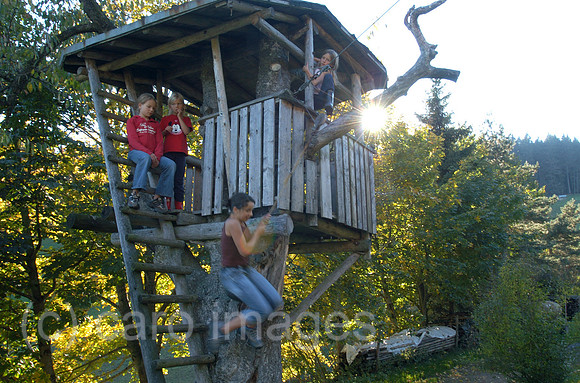 00K051016D015CAROE.JPG