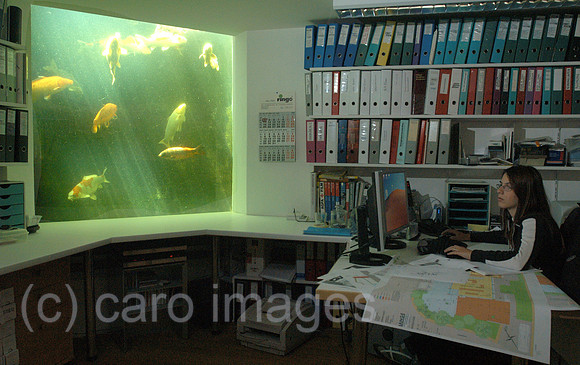 00K051016D080CAROE.JPG