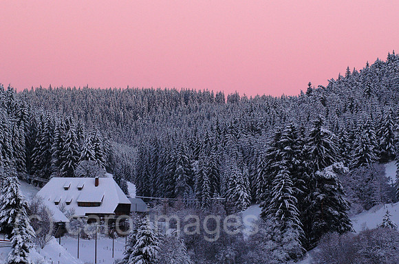 00K050102D011CAROE.JPG