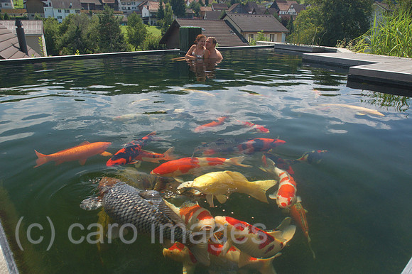 00K051016D074CARO.JPG