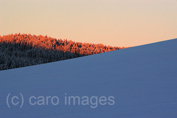 00K050102D014CARO.JPG