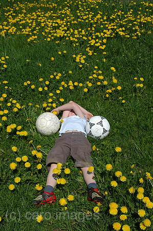 00K050817D003CAROE.JPG