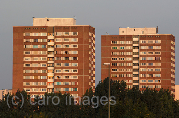00K050901D010CARO.JPG