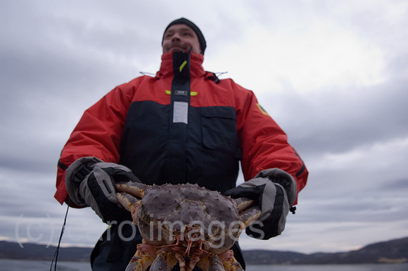 00K051122D006CAROE.JPG