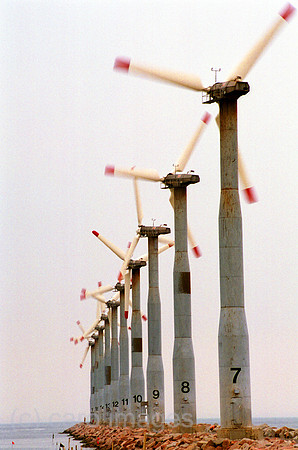 00M118815CARO.JPG