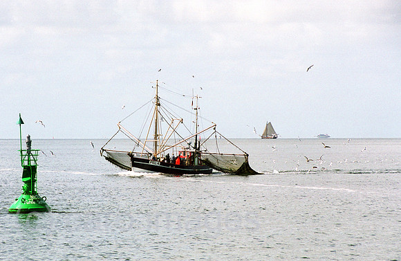 00M121308CARO.JPG