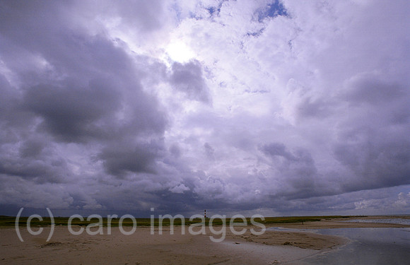 00M122010CARO.JPG