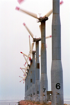 00M118911CARO.JPG