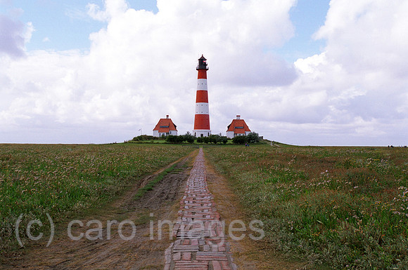 00M122109CARO.JPG