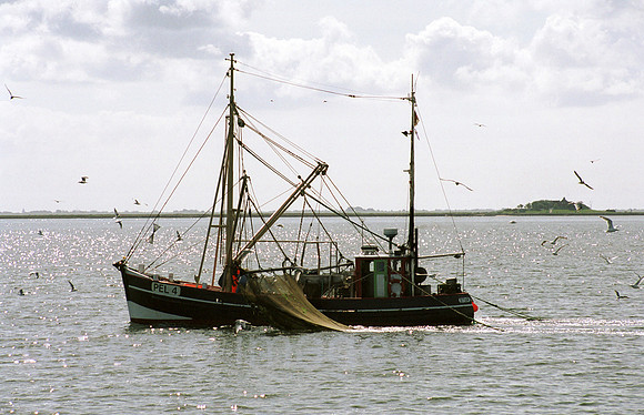 00M121315CARO.JPG