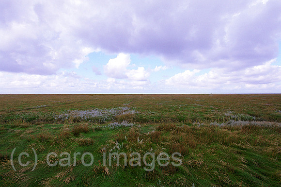 00M122012CARO.JPG
