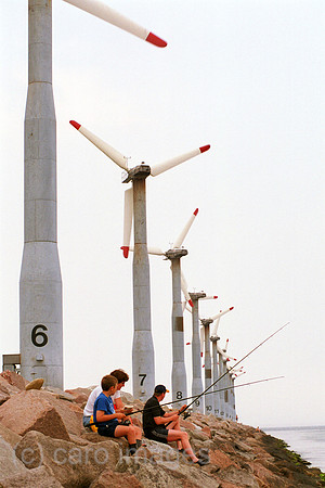 00M118827CARO.JPG