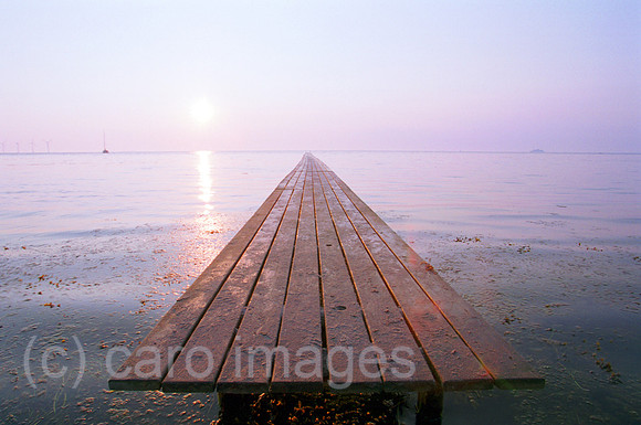 00M118535CARO.JPG