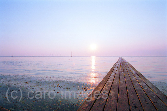 00M118536CARO.JPG